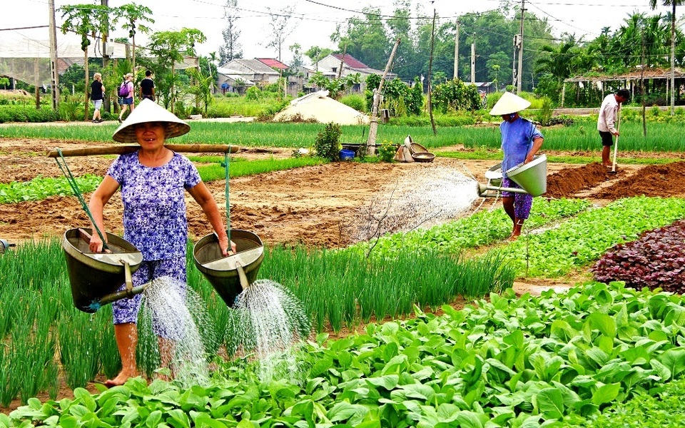 Khám phá Hội An trong 36 giờ Khám phá Hội An trong 36 giờ