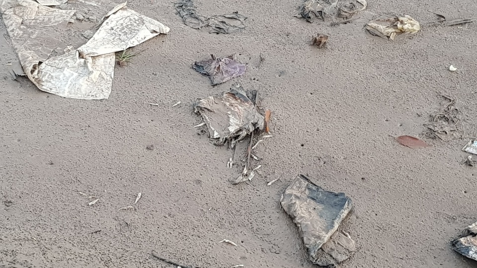 Người dân thành phố đổ xô ra sông vớt cá chết - 1 Người dân thành phố đổ xô ra sông vớt cá chết - 1