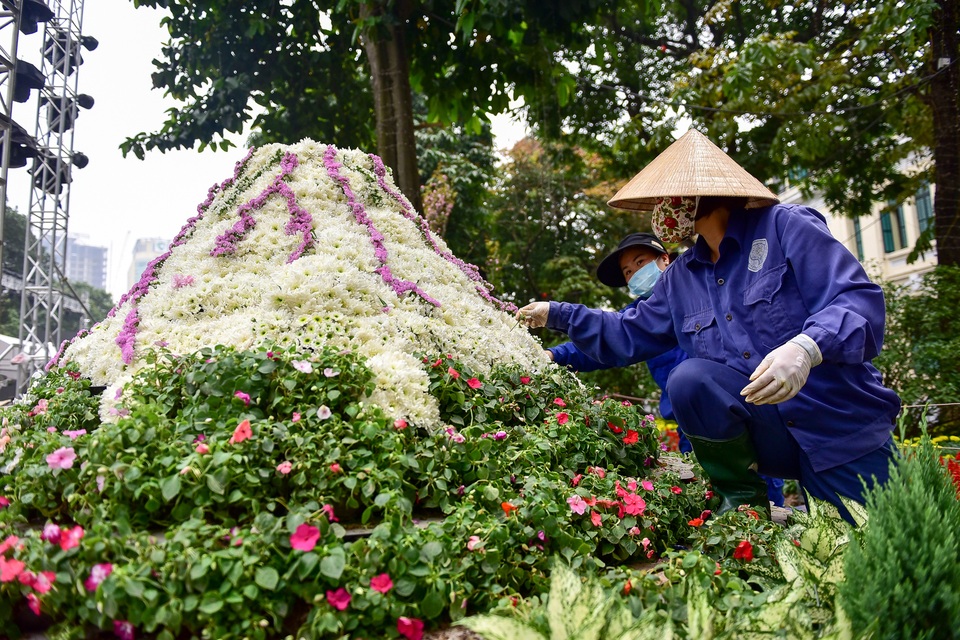 Hoa anh đào Nhật Bản khoe sắc giữa lòng Hà Nội - 12 Hoa anh đào Nhật Bản khoe sắc giữa lòng Hà Nội - 12