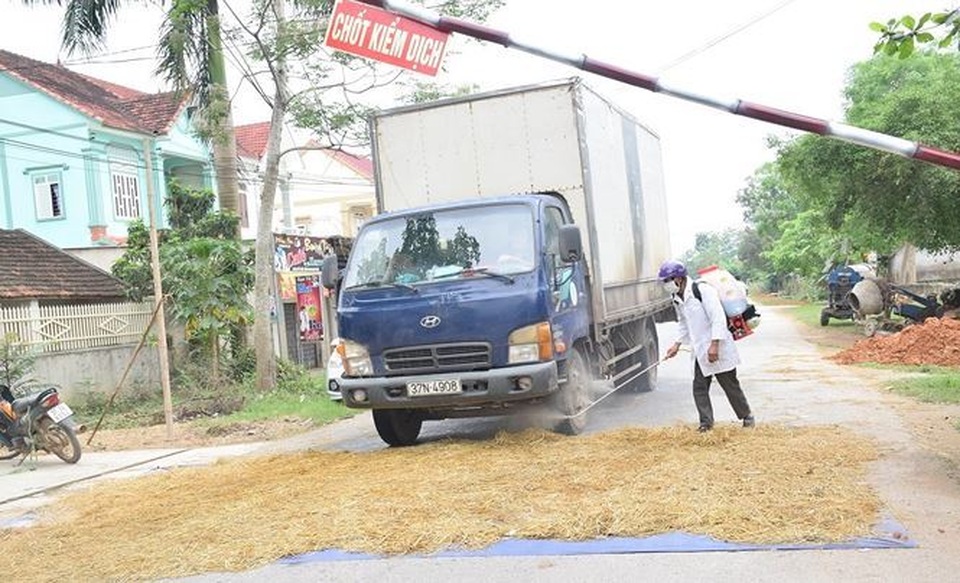 Quảng Trị xác nhận có dịch tả lợn châu Phi - 2 Quảng Trị xác nhận có dịch tả lợn châu Phi - 2