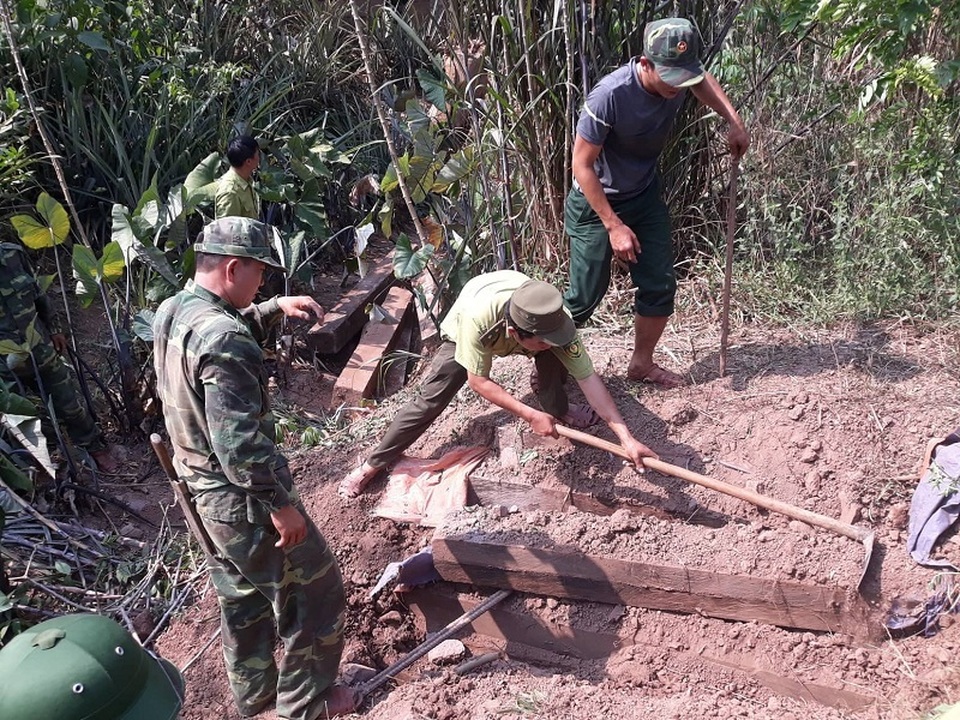 Phát hiện 3 hầm giấu gỗ nghi là tang vật vụ phá rừng ở Phong Nha - Kẻ Bàng - 1 Phát hiện 3 hầm giấu gỗ nghi là tang vật vụ phá rừng ở Phong Nha - Kẻ Bàng - 1