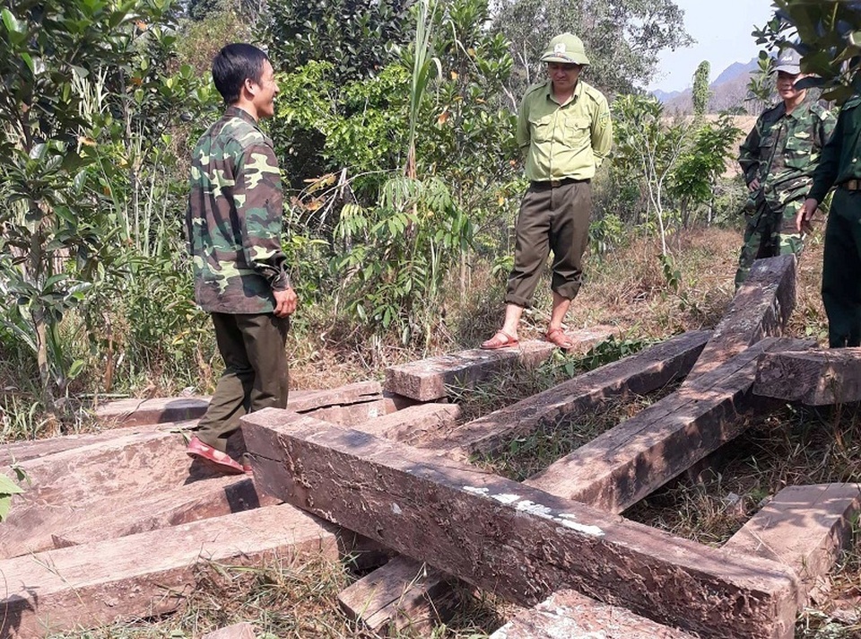 Phát hiện 3 hầm giấu gỗ nghi là tang vật vụ phá rừng ở Phong Nha - Kẻ Bàng - 3 Phát hiện 3 hầm giấu gỗ nghi là tang vật vụ phá rừng ở Phong Nha - Kẻ Bàng - 3