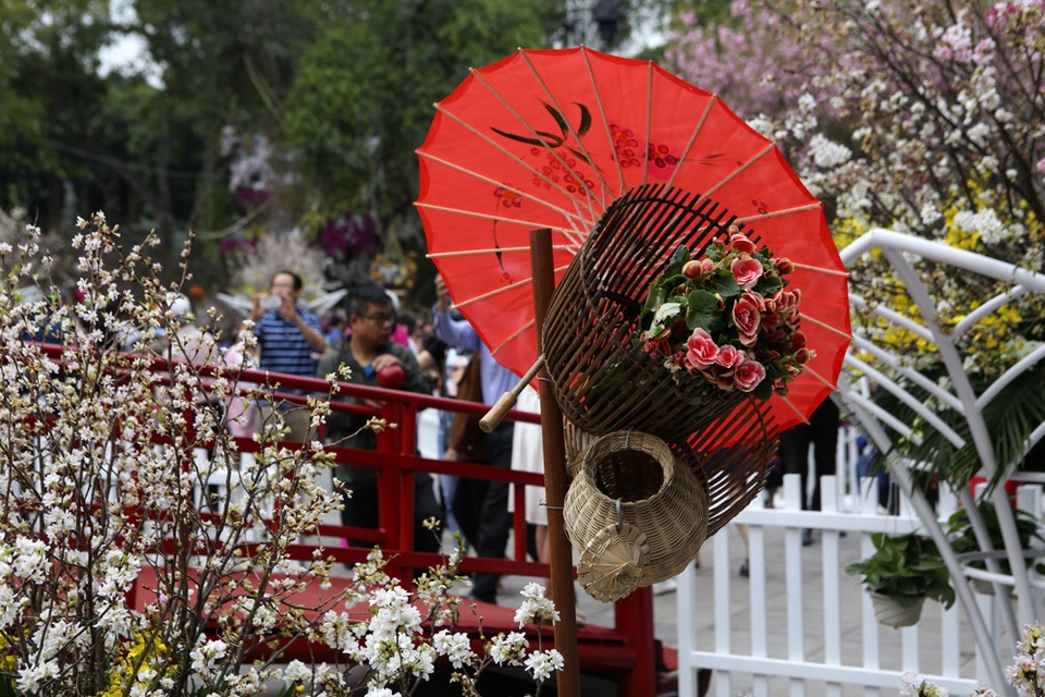 Ngắm hàng vạn cành hoa anh đào khoe sắc bên hồ Gươm - 11 Ngắm hàng vạn cành hoa anh đào khoe sắc bên hồ Gươm - 11