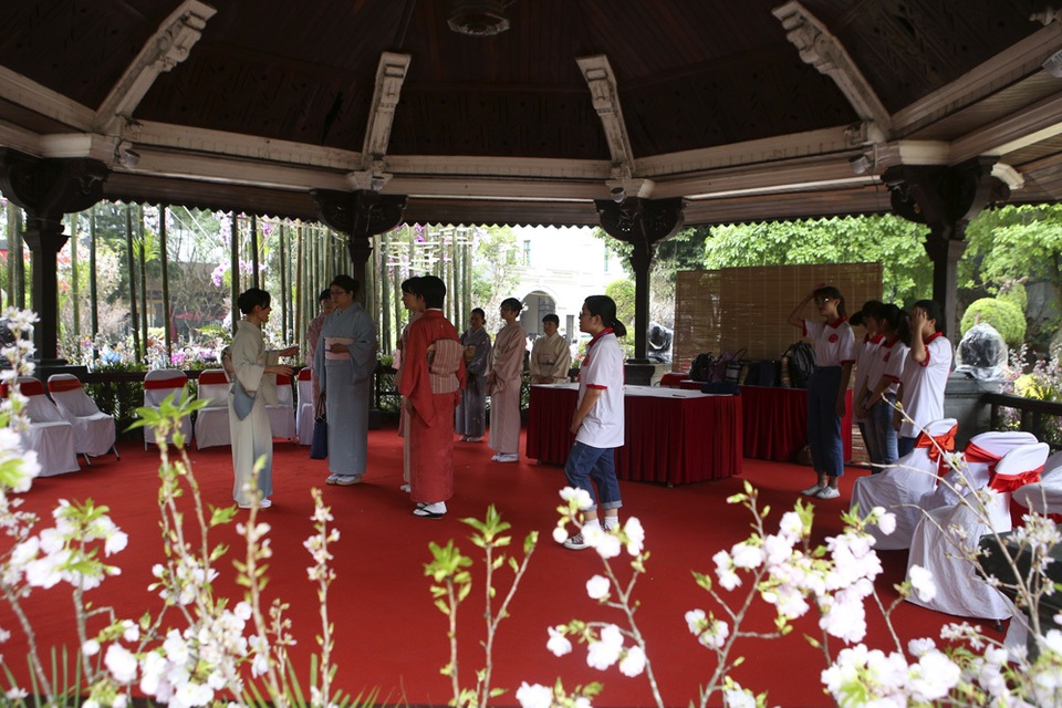 Ngắm hàng vạn cành hoa anh đào khoe sắc bên hồ Gươm - 8 Ngắm hàng vạn cành hoa anh đào khoe sắc bên hồ Gươm - 8
