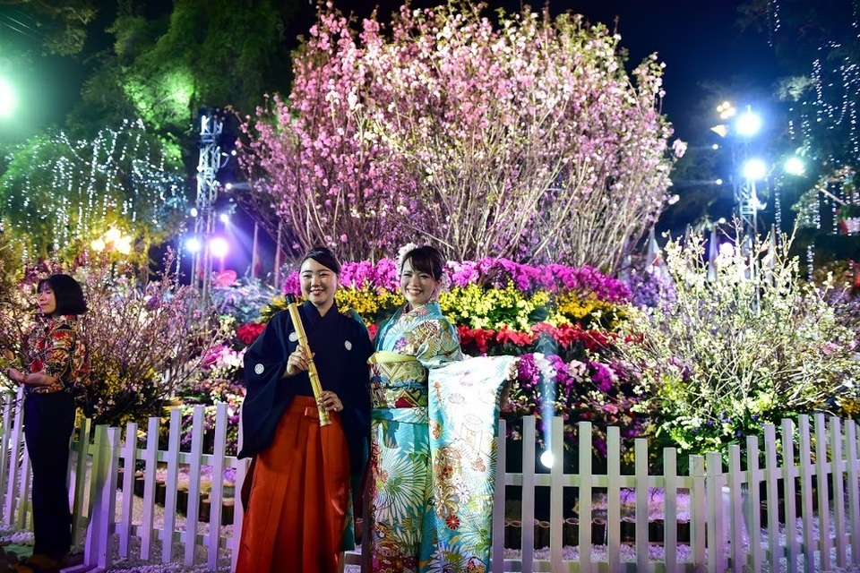 Hàng ngàn cành hoa anh đào khoe sắc bên hồ Hoàn Kiếm - 8 Hàng ngàn cành hoa anh đào khoe sắc bên hồ Hoàn Kiếm - 8