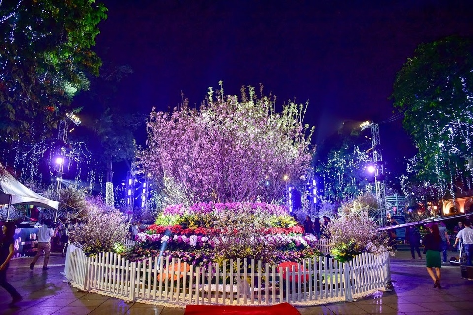 Hàng ngàn cành hoa anh đào khoe sắc bên hồ Hoàn Kiếm - 10 Hàng ngàn cành hoa anh đào khoe sắc bên hồ Hoàn Kiếm - 10