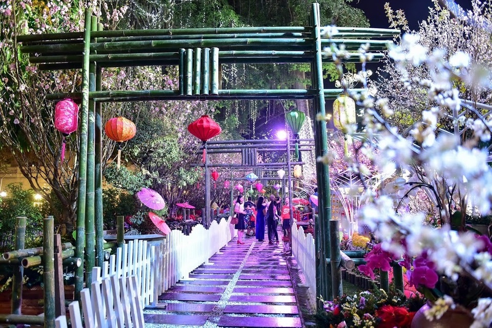 Hàng ngàn cành hoa anh đào khoe sắc bên hồ Hoàn Kiếm - 4 Hàng ngàn cành hoa anh đào khoe sắc bên hồ Hoàn Kiếm - 4