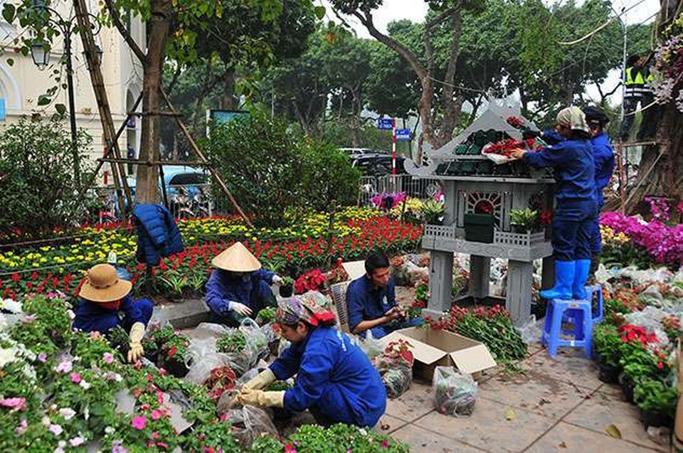 Những điều chưa biết về Lễ hội hoa anh đào 2019 3.jpg Những điều chưa biết về Lễ hội hoa anh đào 2019 3.jpg