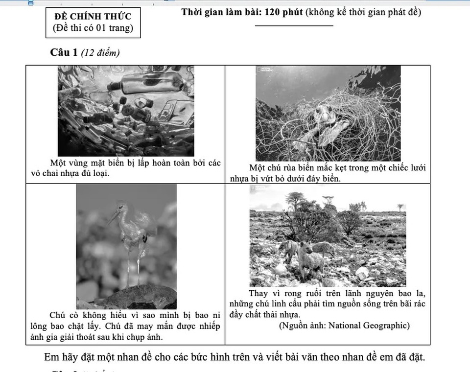 Hình ảnh đẹp đẽ và đau thương vào đề Văn của TPHCM - 2