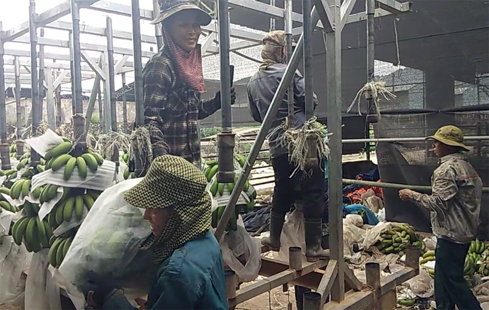 “Đột nhập” dự án 4.500 tỷ, nơi con trai cựu Chủ tịch BIDV Trần Bắc Hà bán bò lấy tiền tư túi - 13 “Đột nhập” dự án 4.500 tỷ, nơi con trai cựu Chủ tịch BIDV Trần Bắc Hà bán bò lấy tiền tư túi - 13