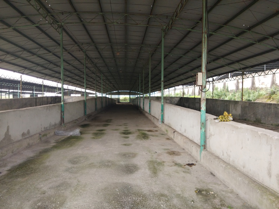 “Đột nhập” dự án 4.500 tỷ, nơi con trai cựu Chủ tịch BIDV Trần Bắc Hà bán bò lấy tiền tư túi - 7 “Đột nhập” dự án 4.500 tỷ, nơi con trai cựu Chủ tịch BIDV Trần Bắc Hà bán bò lấy tiền tư túi - 7