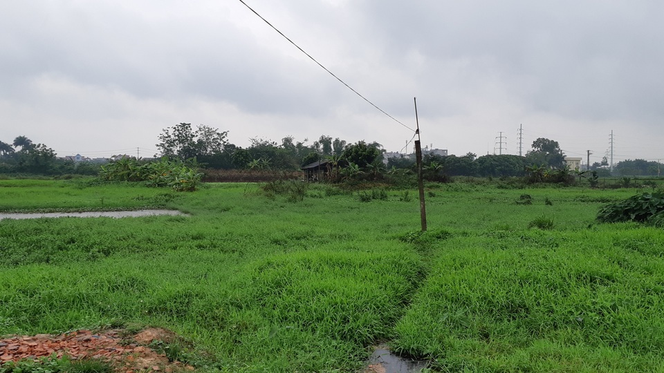 Cò săn mua đất nông nghiệp, nông dân Đông Anh đứng ngồi không yên - 1 Cò săn mua đất nông nghiệp, nông dân Đông Anh đứng ngồi không yên - 1