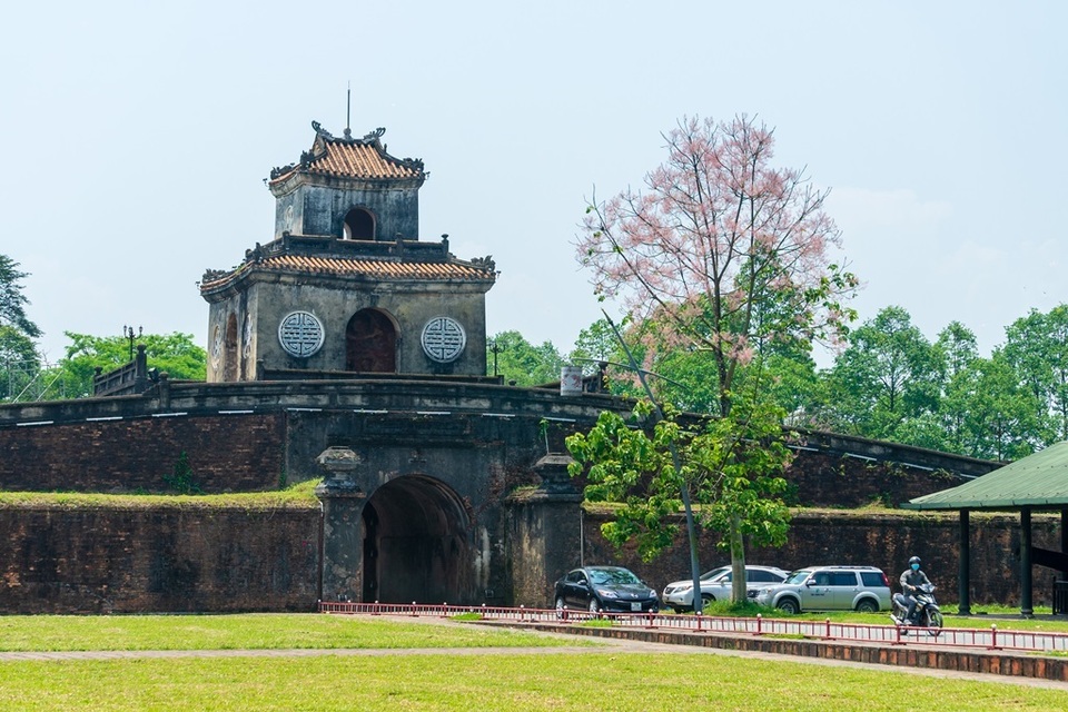 Hoa ngô đồng đẹp ngỡ ngàng trong Đại Nội Huế - 1 Hoa ngô đồng đẹp ngỡ ngàng trong Đại Nội Huế - 1