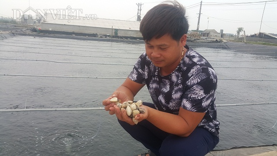 Nghề lạ ở Ninh Bình: Cân cát lấy tiền, cứ 1 kg bán hơn 1 triệu đồng - 1 Nghề lạ ở Ninh Bình: Cân cát lấy tiền, cứ 1 kg bán hơn 1 triệu đồng - 1