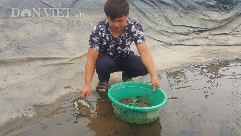 Nghề lạ ở Ninh Bình: Cân cát lấy tiền, cứ 1 kg bán hơn 1 triệu đồng - 3 Nghề lạ ở Ninh Bình: Cân cát lấy tiền, cứ 1 kg bán hơn 1 triệu đồng - 3