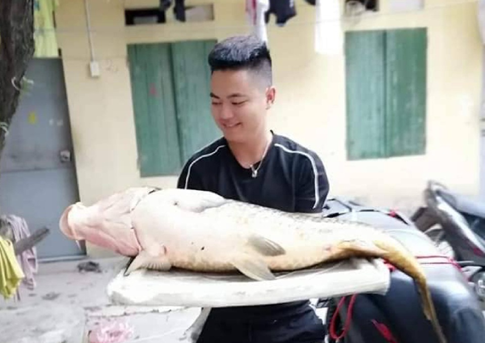 Người Hà thành mạnh tay chi gần chục triệu để mua 1 con cá chép - 2 Người Hà thành mạnh tay chi gần chục triệu để mua 1 con cá chép - 2