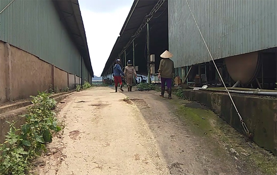 “Đột nhập” dự án 4.500 tỷ, nơi con trai cựu Chủ tịch BIDV Trần Bắc Hà bán bò lấy tiền tư túi - 14 “Đột nhập” dự án 4.500 tỷ, nơi con trai cựu Chủ tịch BIDV Trần Bắc Hà bán bò lấy tiền tư túi - 14