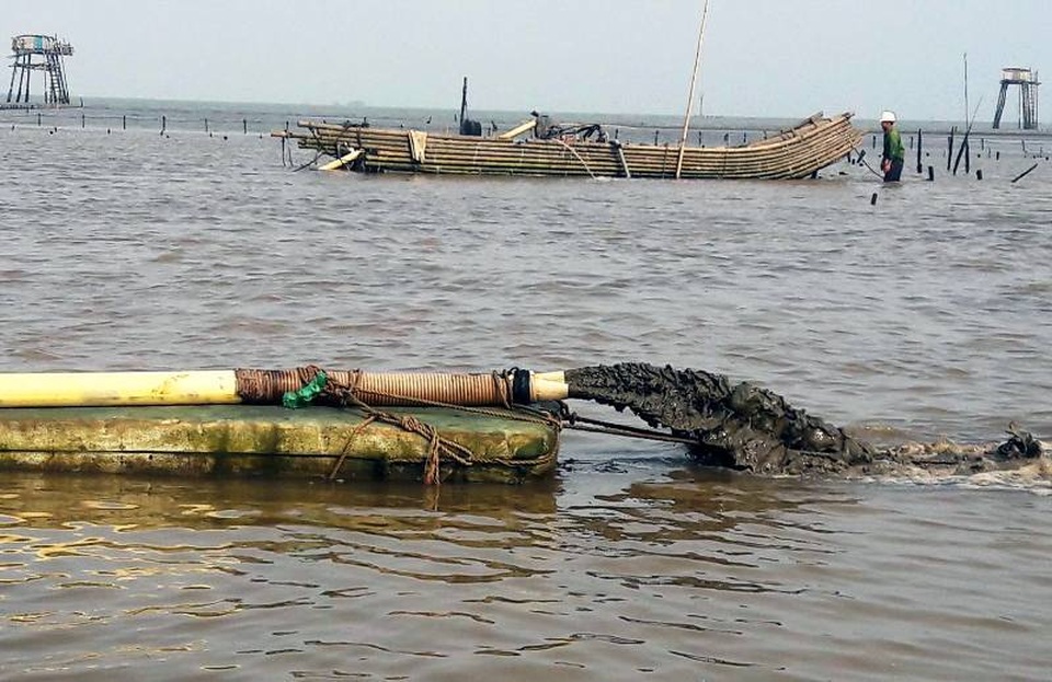 Xác định nguyên nhân ban đầu khiến ngao chết hàng loạt tại Thanh Hóa - 6 Xác định nguyên nhân ban đầu khiến ngao chết hàng loạt tại Thanh Hóa - 6