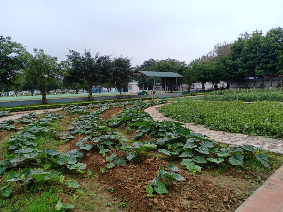 Bất cập trong quản lý nguồn thực phẩm đưa vào trường học - 2 Bất cập trong quản lý nguồn thực phẩm đưa vào trường học - 2