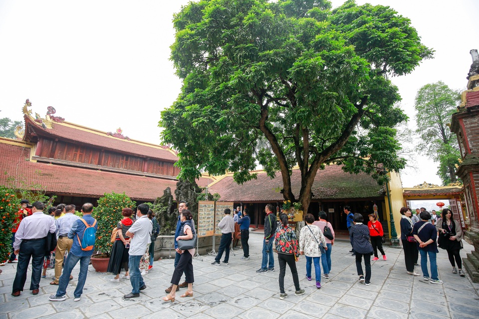 Cây bưởi trong ngôi chùa cổ nhất Hà Nội bị vẽ bậy chằng chịt lên quả - 10 Cây bưởi trong ngôi chùa cổ nhất Hà Nội bị vẽ bậy chằng chịt lên quả - 10