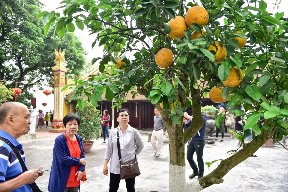 Cây bưởi trong ngôi chùa cổ nhất Hà Nội bị vẽ bậy chằng chịt lên quả - 9 Cây bưởi trong ngôi chùa cổ nhất Hà Nội bị vẽ bậy chằng chịt lên quả - 9