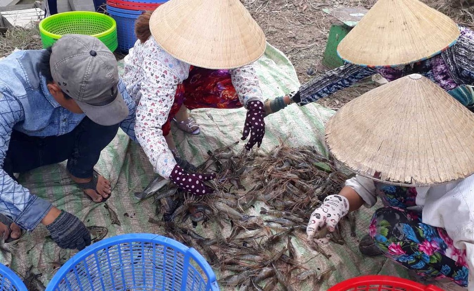 Xuất khẩu lao động: Thu nhập khá nhưng... không dễ đi - 1 Xuất khẩu lao động: Thu nhập khá nhưng... không dễ đi - 1
