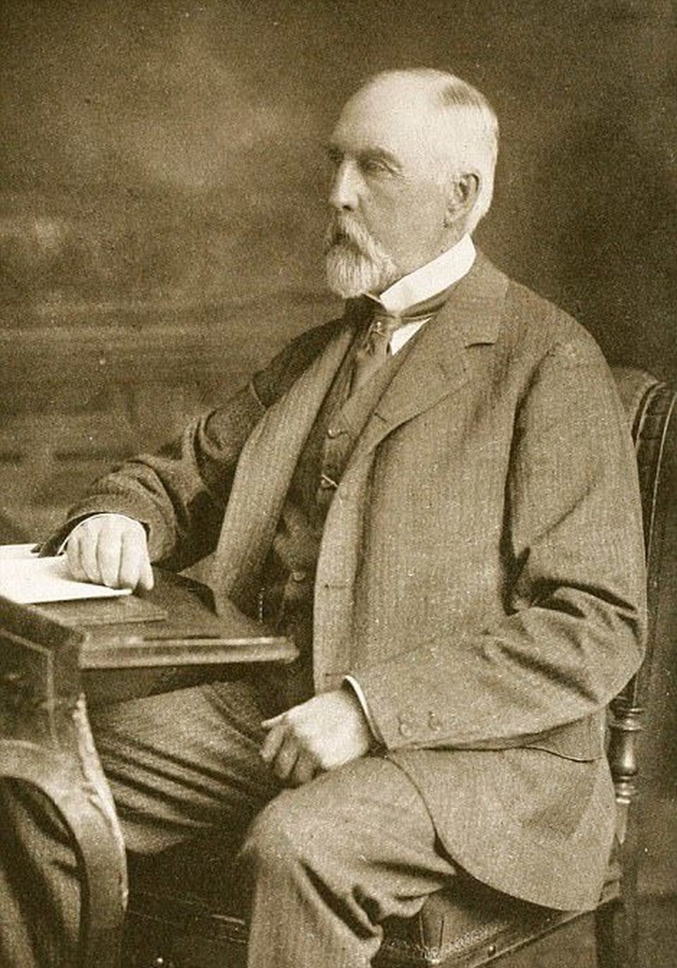 Cây đỗ quyên tuổi đời hơn 1 thế kỷ, có thể “ôm trọn” cả trăm người cùng lúc - 3 Cây đỗ quyên tuổi đời hơn 1 thế kỷ, có thể “ôm trọn” cả trăm người cùng lúc - 3