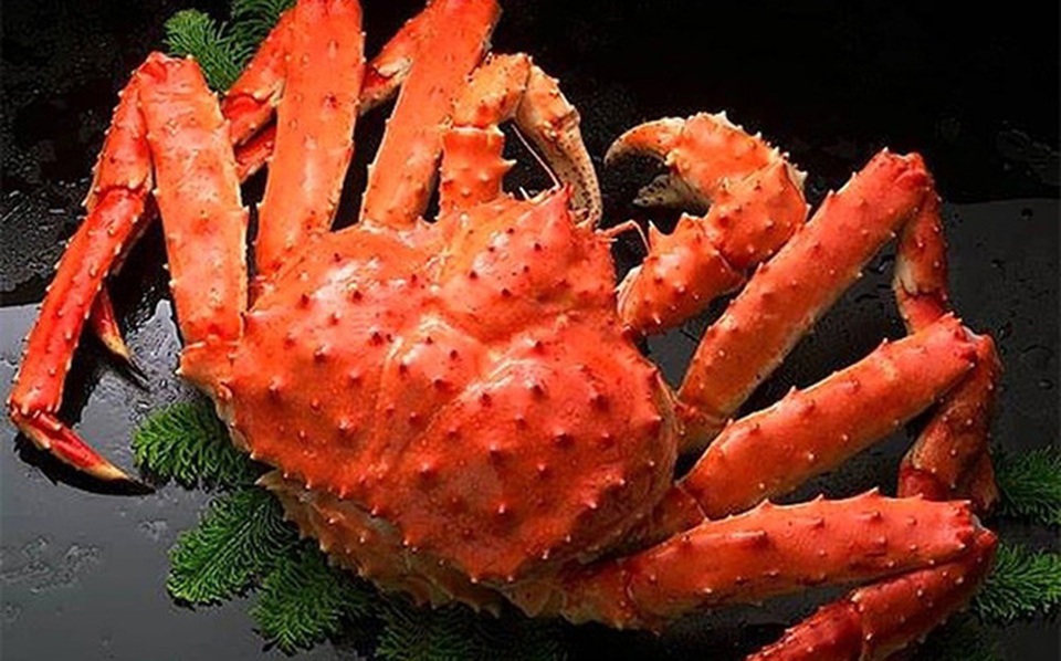 Cua hoàng đế Alaska bán nguyên con tràn lan ở Việt Nam rẻ tương đương giá bán ở Mỹ - 2 Cua hoàng đế Alaska bán nguyên con tràn lan ở Việt Nam rẻ tương đương giá bán ở Mỹ - 2
