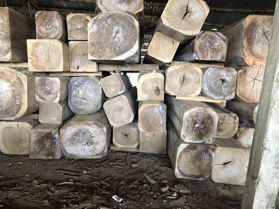 Tỉnh Quảng Nam tạm cấm nhập khẩu gỗ Tỉnh Quảng Nam tạm cấm nhập khẩu gỗ