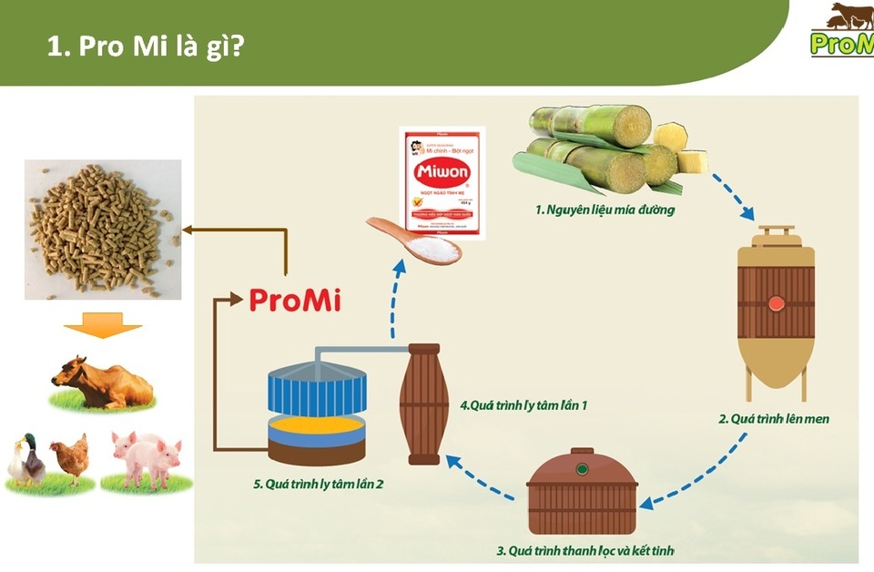 Miwon ra mắt sản phẩm dinh dưỡng mới cho ngành chăn nuôi Việt Nam - 4 Miwon ra mắt sản phẩm dinh dưỡng mới cho ngành chăn nuôi Việt Nam - 4