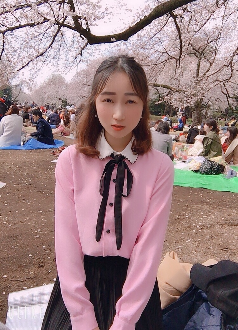 Ngắm hoa anh đào nở - Ngẫm về sự thanh cao, khiêm nhường của người Nhật - 5 Ngắm hoa anh đào nở - Ngẫm về sự thanh cao, khiêm nhường của người Nhật - 5