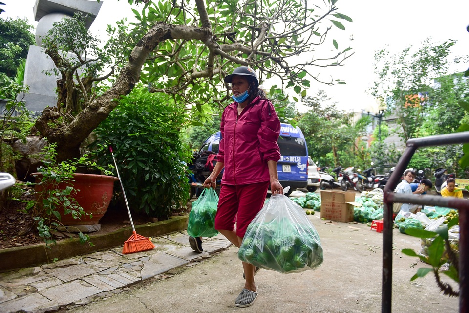 Dân Thủ đô giải cứu quýt sạch cho nông dân Nghệ An - 11 Dân Thủ đô giải cứu quýt sạch cho nông dân Nghệ An - 11