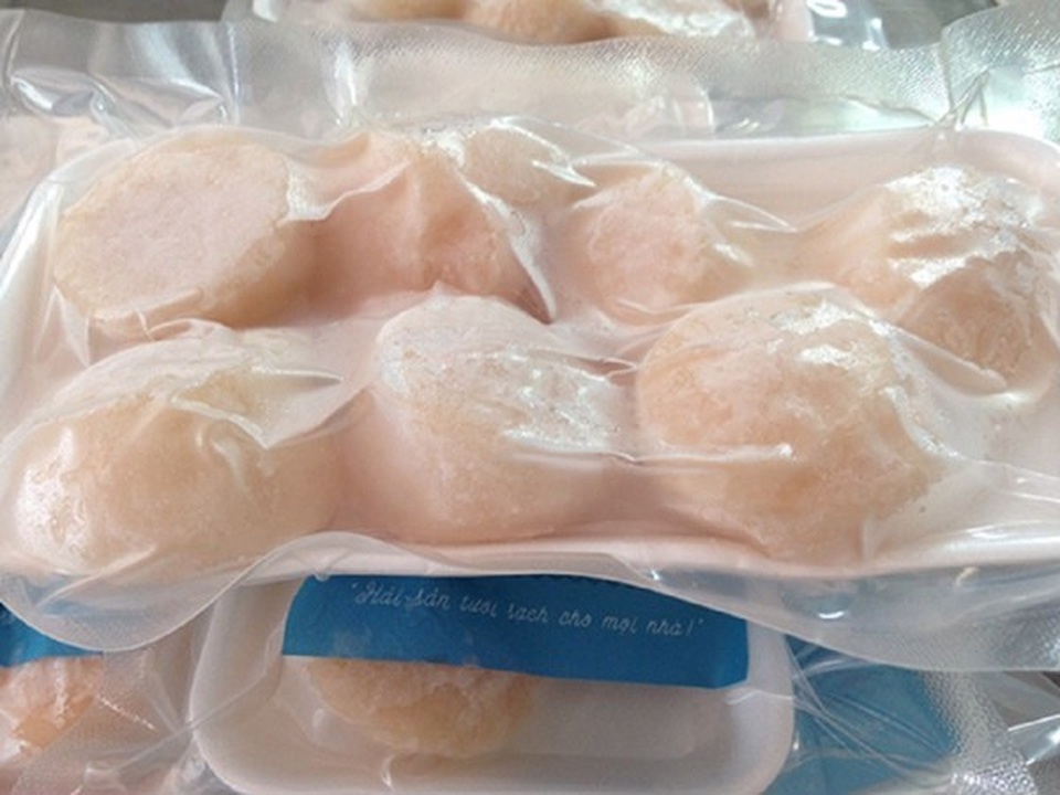 Cồi sò điệp Nhật 10 triệu đồng/kg mang về Việt Nam cung không kịp cầu - 1 Cồi sò điệp Nhật 10 triệu đồng/kg mang về Việt Nam cung không kịp cầu - 1