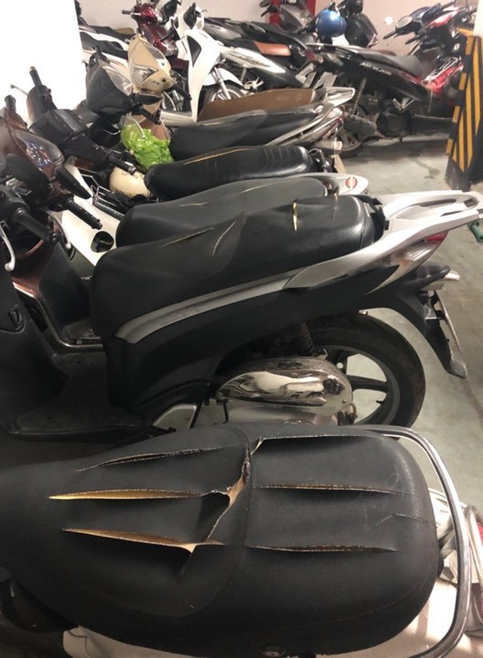 Hà Nội: Hàng loạt xe máy trong khu chung cư bị rạch nát yên - 1 Hà Nội: Hàng loạt xe máy trong khu chung cư bị rạch nát yên - 1