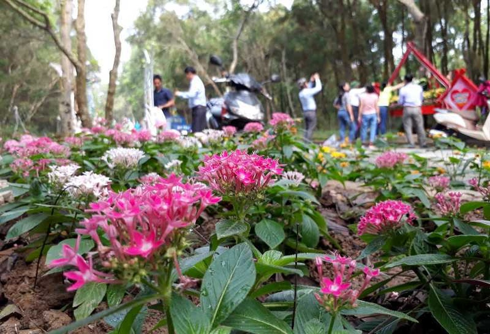 Tưng bừng lễ hội tình yêu hòn Trống Mái - 11