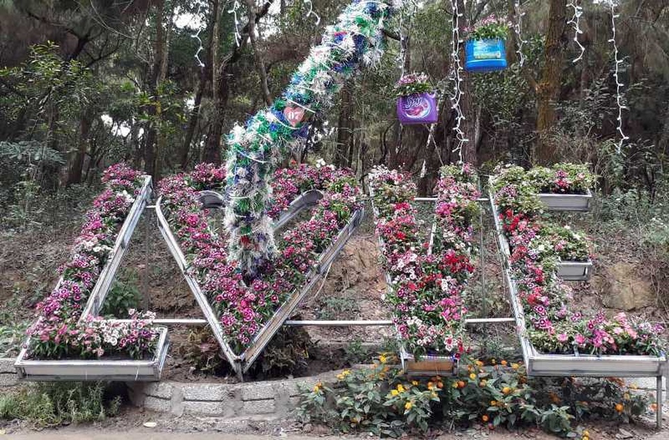 Tưng bừng lễ hội tình yêu hòn Trống Mái - 8