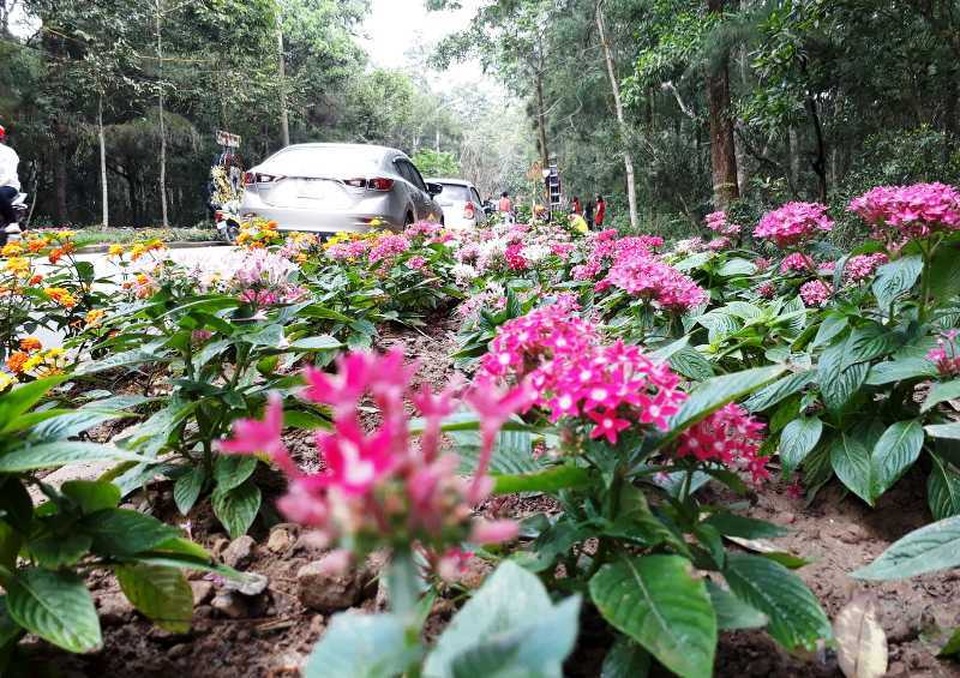 Tưng bừng lễ hội tình yêu hòn Trống Mái - 2