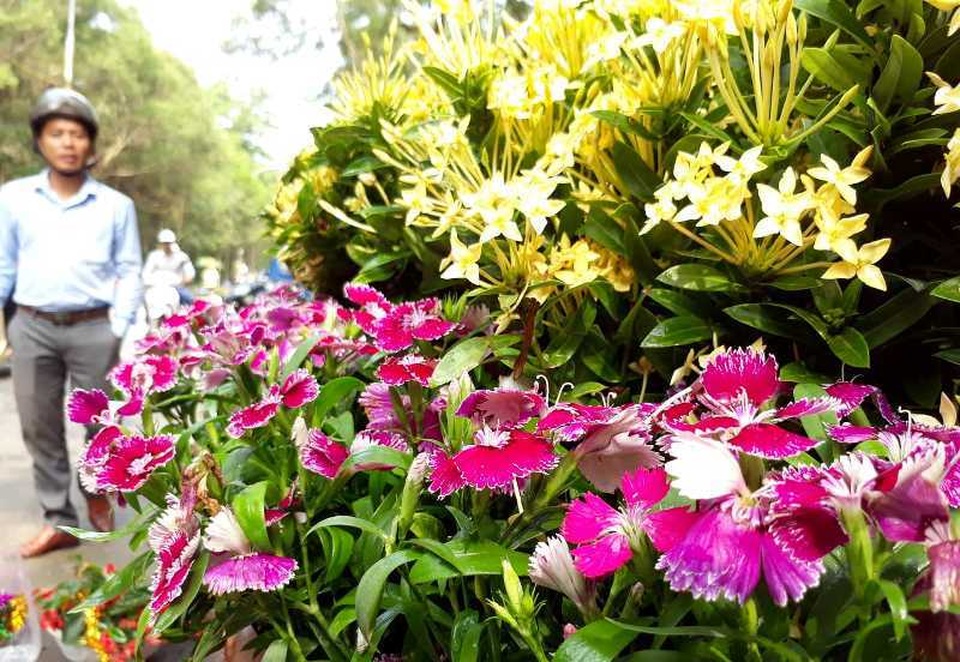 Tưng bừng lễ hội tình yêu hòn Trống Mái - 9