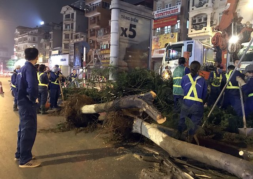 Hà Nội nhổ cây trong đêm; cựu cán bộ sàm sỡ bé gái trong thang máy - 1 Hà Nội nhổ cây trong đêm; cựu cán bộ sàm sỡ bé gái trong thang máy - 1