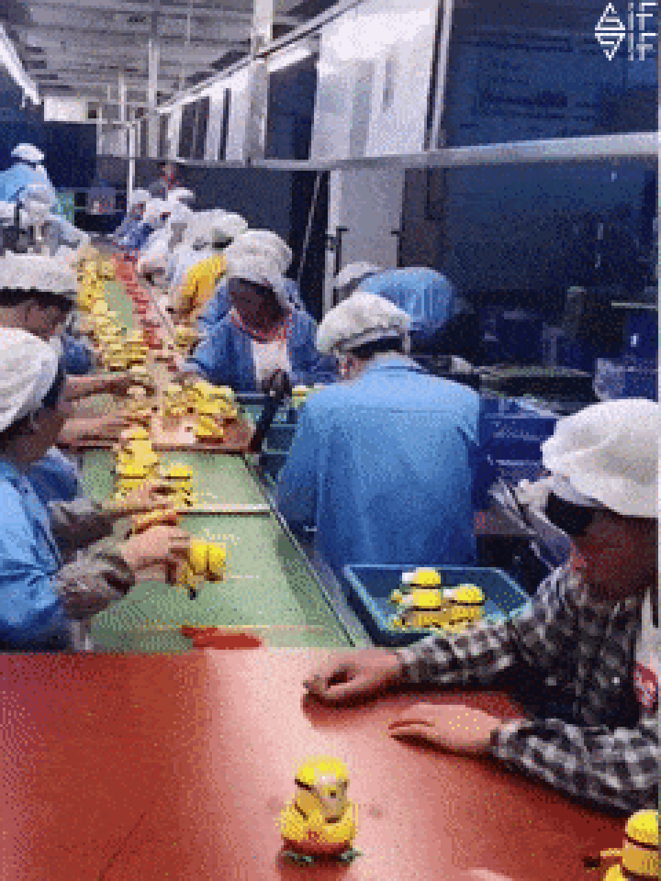 “Nạp năng lượng” cho ngày đầu tuần với chùm ảnh động siêu hài hước - 14 “Nạp năng lượng” cho ngày đầu tuần với chùm ảnh động siêu hài hước - 14