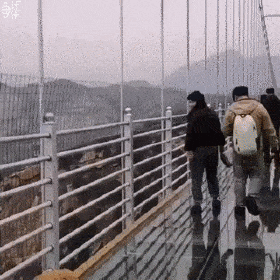 “Nạp năng lượng” cho ngày đầu tuần với chùm ảnh động siêu hài hước - 2 “Nạp năng lượng” cho ngày đầu tuần với chùm ảnh động siêu hài hước - 2