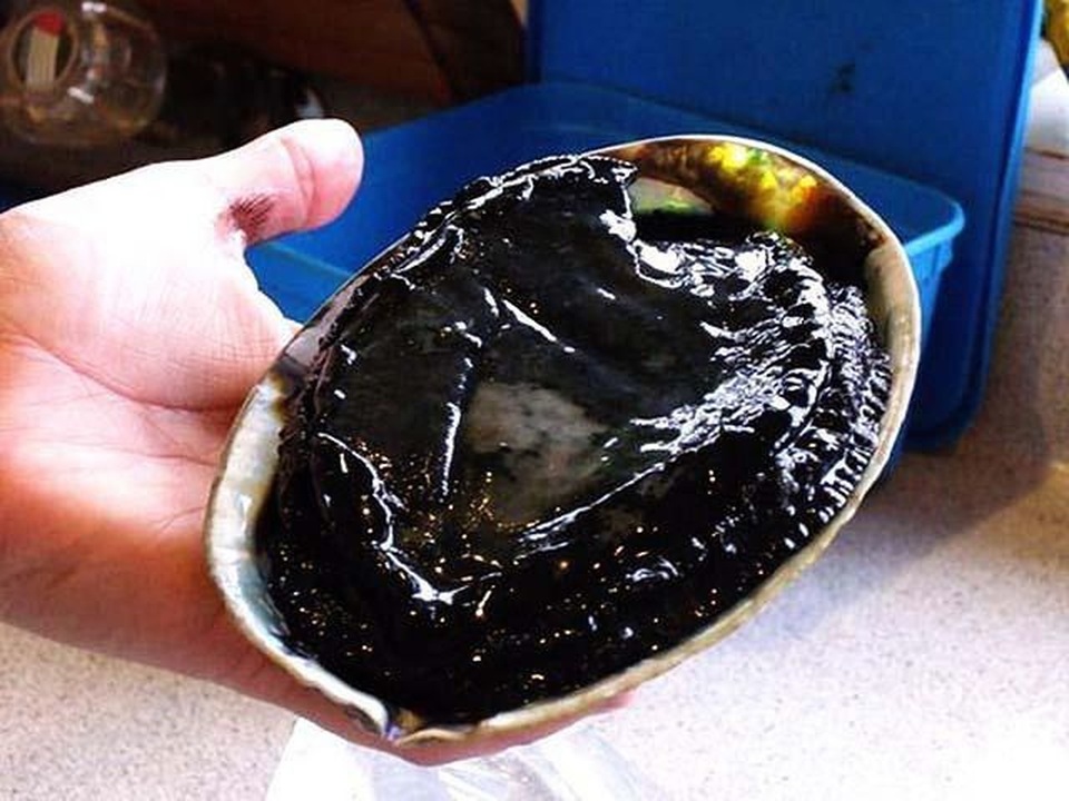 Chiếc xe đạp của “cậu bé Sơn La” được trả giá cao; Bào ngư cho giới nhà giàu rớt giá hơn nửa - 4 Chiếc xe đạp của “cậu bé Sơn La” được trả giá cao; Bào ngư cho giới nhà giàu rớt giá hơn nửa - 4
