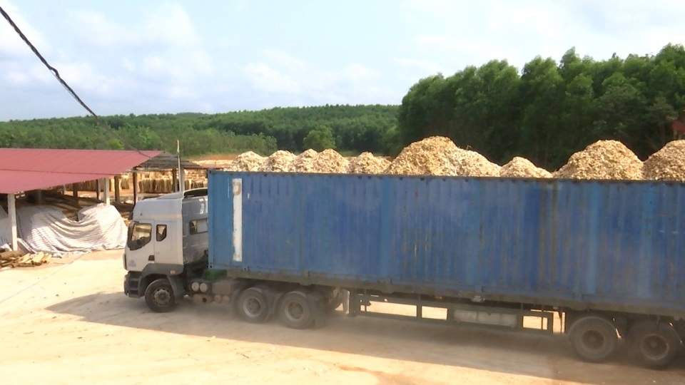 Quảng Trị: Chính quyền liên tục “tuýt còi”, doanh nghiệp sai phạm bỏ ngoài tai! - 1 Quảng Trị: Chính quyền liên tục “tuýt còi”, doanh nghiệp sai phạm bỏ ngoài tai! - 1