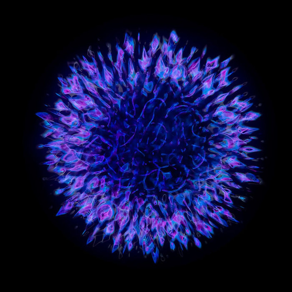 Bạn đã bao giờ được nhìn thấy âm thanh bằng mắt thường? - 8