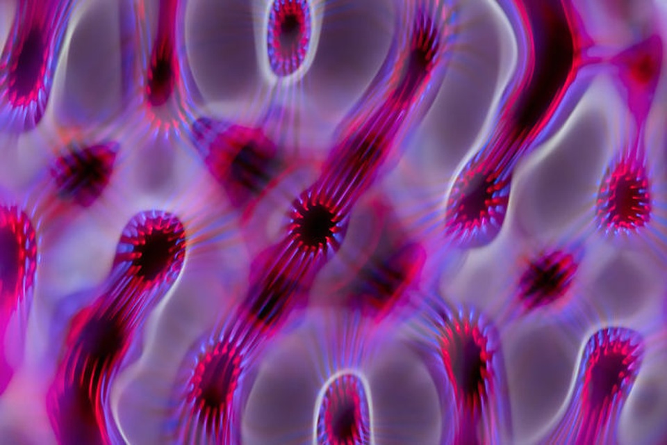 Bạn đã bao giờ được nhìn thấy âm thanh bằng mắt thường? - 13