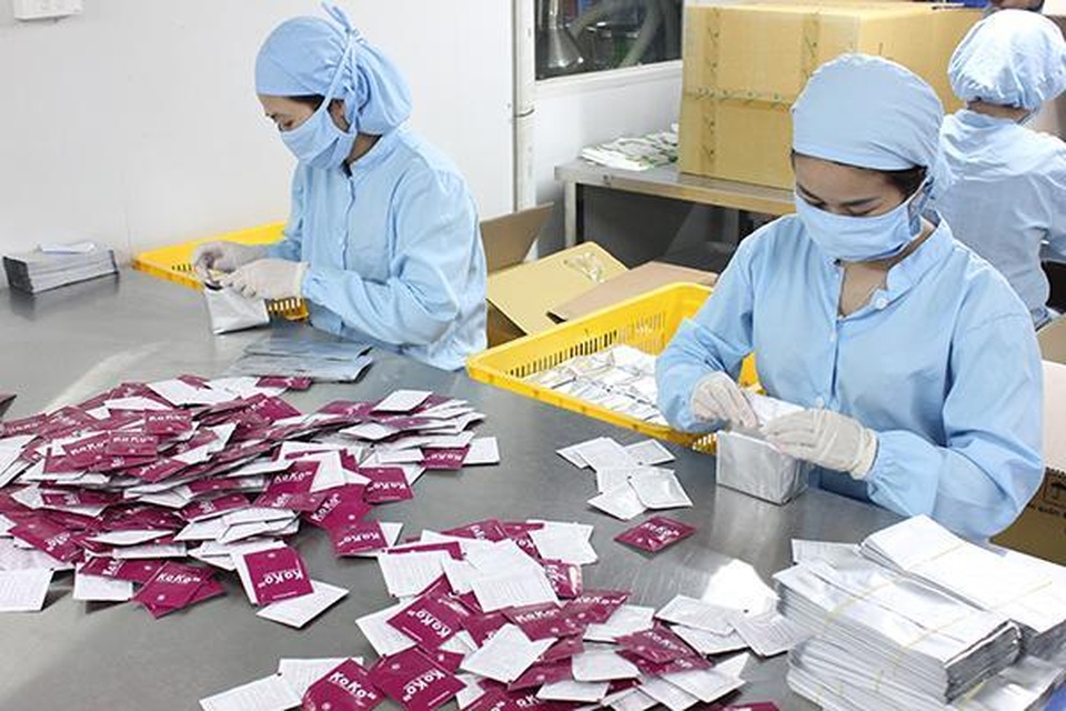 Hà thủ ô: “vị thuốc quý” trong sách xưa - 5 Hà thủ ô: “vị thuốc quý” trong sách xưa - 5