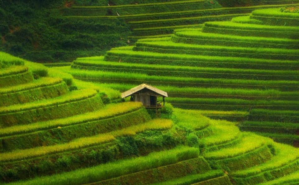 Mù Cang Chải lọt vào top địa điểm sắc màu nhất thế giới - 2 Mù Cang Chải lọt vào top địa điểm sắc màu nhất thế giới - 2