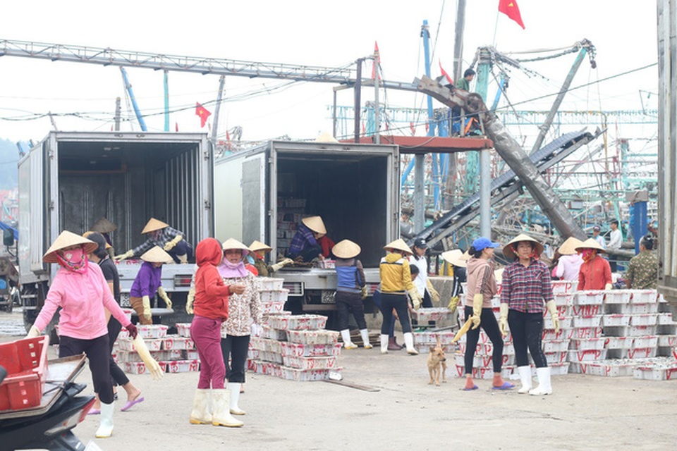 Ngư dân Nghệ An kể chuyện đời đi biển - 1 Ngư dân Nghệ An kể chuyện đời đi biển - 1