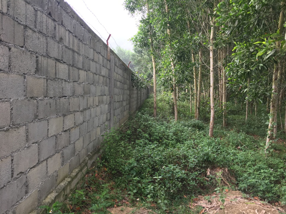 Nghệ An: Trang trại lợn công nghệ cao bức tử môi trường, dân yêu cầu dừng hoạt động - 1 Nghệ An: Trang trại lợn công nghệ cao bức tử môi trường, dân yêu cầu dừng hoạt động - 1