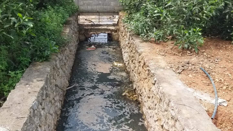 Nghệ An: Trang trại lợn công nghệ cao bức tử môi trường, dân yêu cầu dừng hoạt động - 11 Nghệ An: Trang trại lợn công nghệ cao bức tử môi trường, dân yêu cầu dừng hoạt động - 11